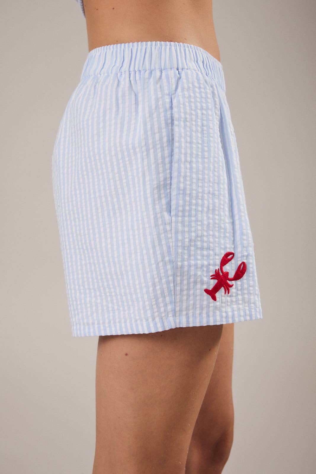 BOXER WITH LOBSTER EMBROIDERY: WHITE-BLUE STRIPE / M