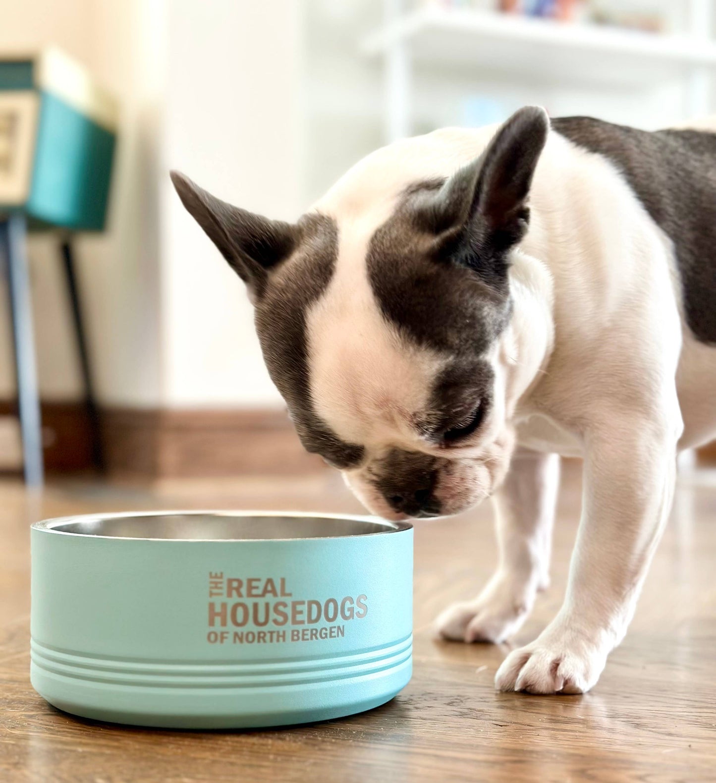 The Real Housedogs of CUSTOM CITY Pet