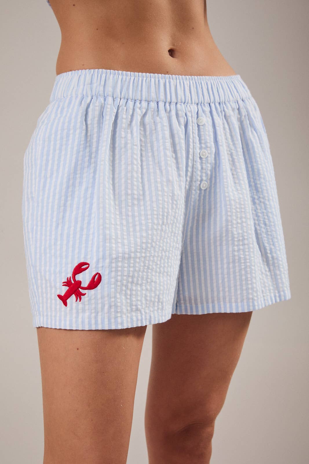 BOXER WITH LOBSTER EMBROIDERY: WHITE-BLUE STRIPE / L